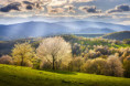 /album/brdarka-ked-vsetko-kvitne-2026/55a0009-copy1-jpg/